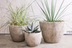 Affiti Clay Planter - Large