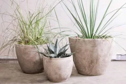Affiti Clay Planter - Medium