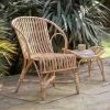 Ajaya Rattan Dining Chair