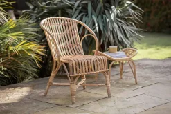 Ajaya Rattan Dining Chair