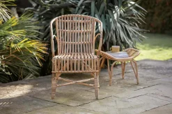 Ajaya Rattan Dining Chair