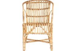 Ajaya Rattan Dining Chair