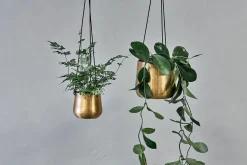 Atsu Brass Hanging Planter