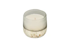 Cardamom & Amber 1 Wick Scented Candle - Aged Smoke - 1 Wick