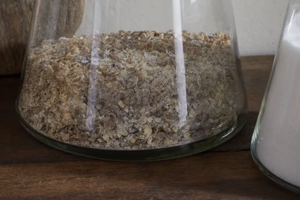 Chaaval Storage Jar - Clear