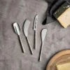 Darsa Cheese Knife Set - Brushed Silver (Set of 4)