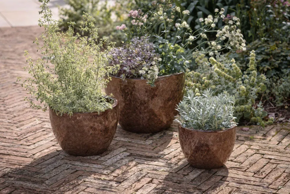 Dunai Terracotta Planter - Brown