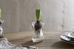 Enir Hyacinth Vase - Clear