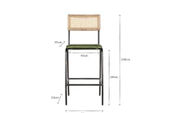 Iswa Leather & Cane Counter Chair - Rich Green