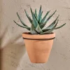 Jara Single Wall Hung Planter