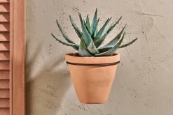 Jara Single Wall Hung Planter