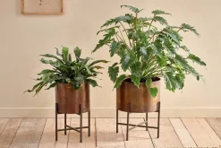 Juoni Iron Planter
