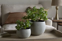 Laoko Planter - Olive Grey