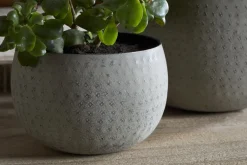 Laoko Planter - Olive Grey