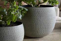 Laoko Planter - Olive Grey