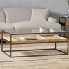 Luzon Iron & Mango Wood Display Coffee Table - Brass