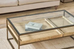 Luzon Iron & Mango Wood Display Coffee Table - Brass