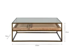 Luzon Iron & Mango Wood Display Coffee Table - Brass