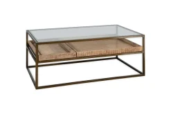 Luzon Iron & Mango Wood Display Coffee Table - Brass