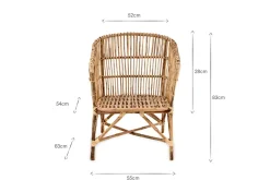 Nesari Rattan Armchair