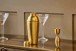 Rahuri Cocktail Shaker