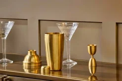 Rahuri Cocktail Shaker