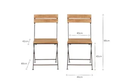 Rishikesh Reclaimed Wood & Iron Folding Chairs - (Set of 2)