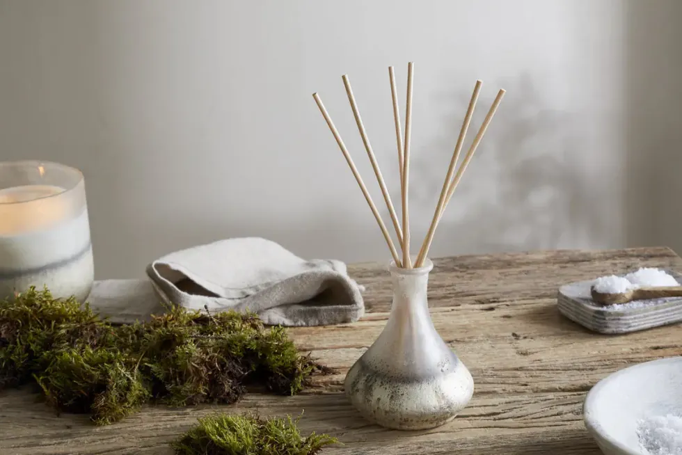 Sea Salt & Moss Reed Diffuser - Aged Smoke
