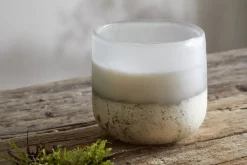 Sea Salt & Moss 1 Wick Scented Candle - Aged Smoke - 1 Wick
