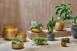 Tembesi Etched Planter - Antique Brass