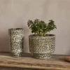 Uzuri Vase - Brown - Tall